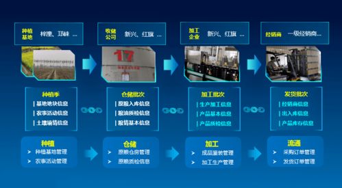 科技賦能，守護(hù)“天府糧倉(cāng)”——川糧集團(tuán)以全產(chǎn)業(yè)鏈云碼溯源引領(lǐng)糧油質(zhì)量安全新標(biāo)桿